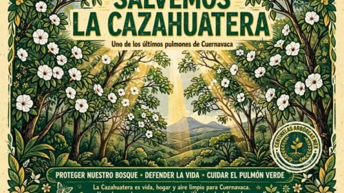 cazahuatera