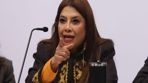 clara brugada utopias caninas refugios animales