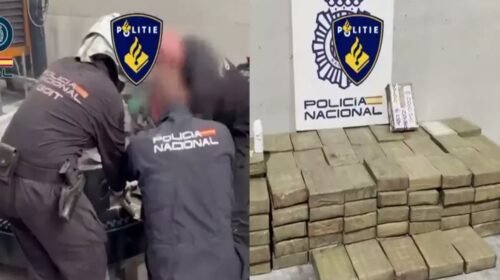 decomido cjng españa oficinas detenciones