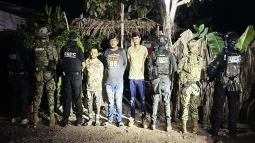 detencion extorsionadores michoacan limoneros