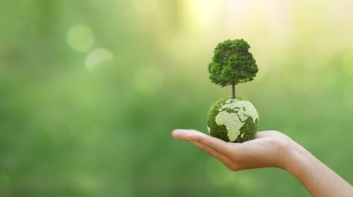 dia mundial medio ambiente cambio climatico