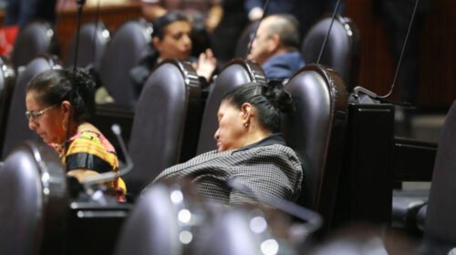 diputada morena dormida sesion pleno camara diputados