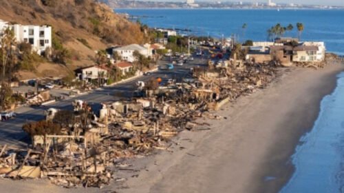 donaciones millonarias los angeles incendios hollywood artisitas damnificados