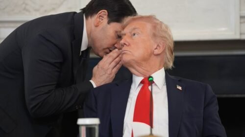donald trump alto fuego hamas israel
