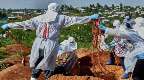 ebola brote republica del congo