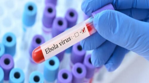 ebola contagios borte pandemia mexico mundial congo
