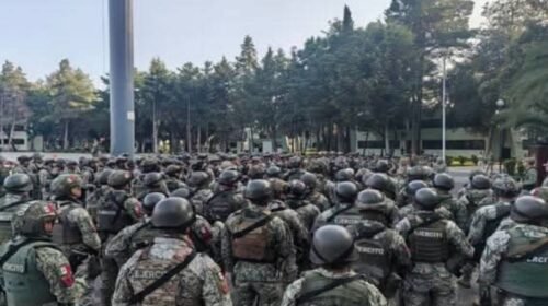 ejercito michoacan exportaciones aguacate