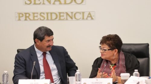 ernestina godoy fgr seguridad plan