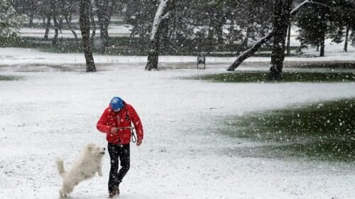 GRAF5423. MADRID, 05/02/2018.- Un hombre pasea con su perro por el parque Emperatriz María de Austria, en Carabanchel, completamente nevado.La Comunidad de Madrid ha activado hoy el nivel 2 de su Plan de Inclemencias Invernales, ha informado el servicio de Emergencias 112, según el cual a pesar de la nevada copiosa generalizada no hay problemas en las carreteras que supongan cierre de vías o necesidad de cadenas. EFE/Mariscal