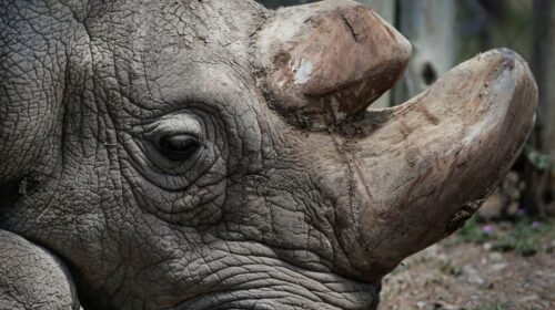 f.elconfidencial.com_original_8e9_ec1_741_8e9ec1741655625fa96a9fb645230ca1