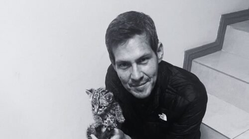 f8481a89-e738-4f6b-868d-0f9737838a41