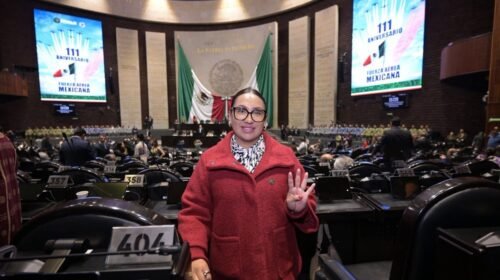 fallece diputada morena razones