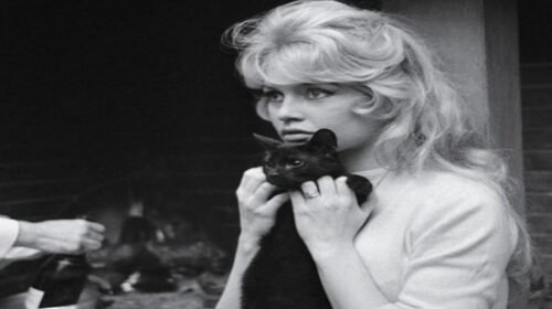 fallecimiento Brigitte Bardot cine espectaculos