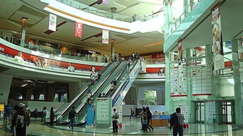 forum buenavista accidente persona fallecimiento