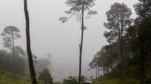 frente frio mexico bajas temperaturas