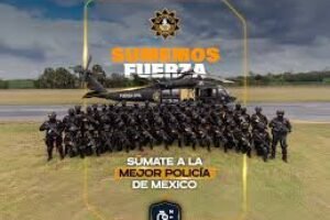 fuerzacivil