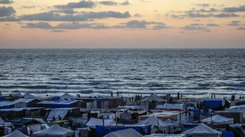 gaza-rafah-refugiados