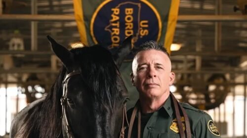 gregory bovino redadas migratorias ice mineapolis