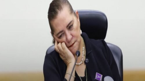 guadalupe taddei ine corrupcion claudia sheinbaum