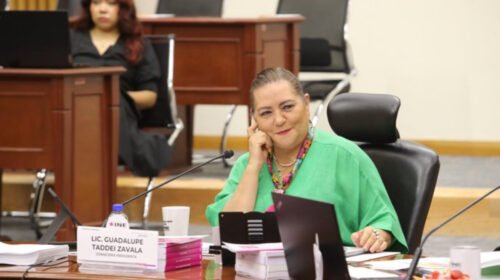 guadalupe taddey ine reformas