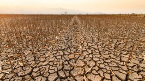 impacto-de-la-sequía-en-la-agricultura EL NIÑO EMERGENCIA NACIONAL COLOMBIA