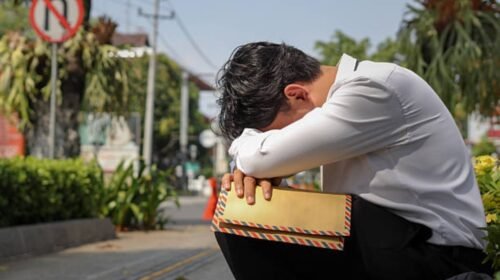 imss desempleo seguro cotizacion