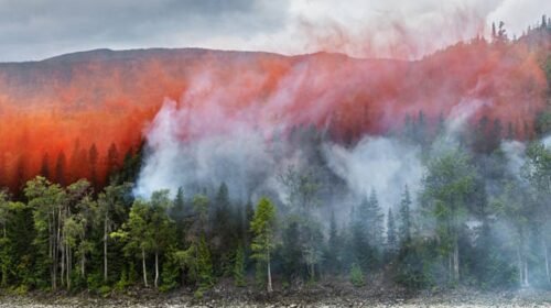 incendio forestal groenlandia cambio climatico
