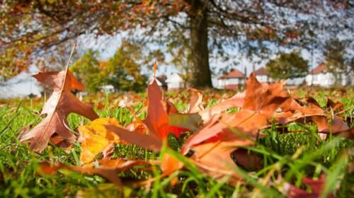 inicio otoño mexico estaciones