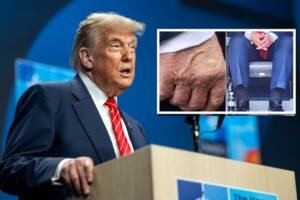 President Donald Trump participates in a press conference, Wednesday, June 25, 2025, during the 2025 NATO Summit at the World Forum in The Hague, Netherlands. (Official White House Photo by Daniel Torok)