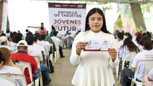 jovenes construyendo el futuro registro diciembre