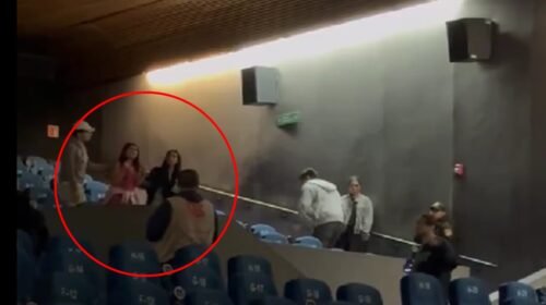 lady cineteca virales cineteca nacional video