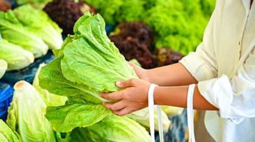 lechuga mexicana brote diarrea explosiva