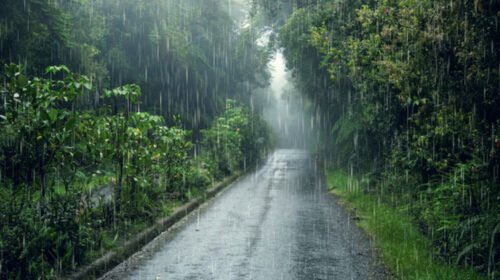lluvias onda tropical mexico clima