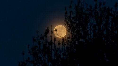 luna sangre eclipse lunar eventro astronomico