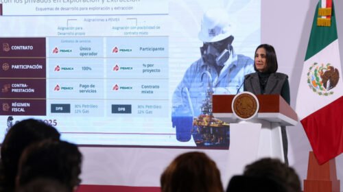luz elena gonzales pemex cfe soberania energetica reformas secundarias