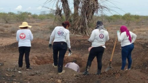 madres buscadoras desaparición