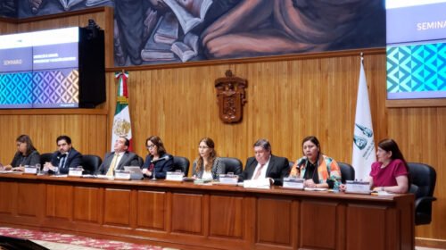 mc tee baja california representacion congreso