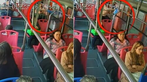 mexibus robo celulares video seguridad edomex transporte publico