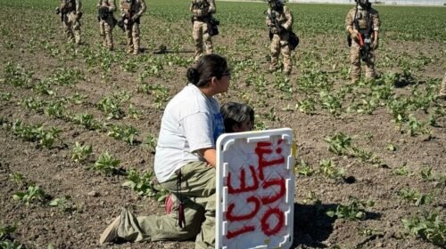 migracion redadas mexicanos estados unidos detenidos ice