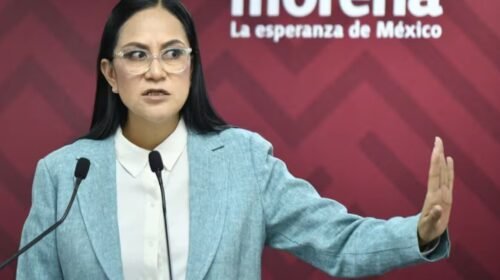 morena candidatos elecciones perfiles guerrero michoacan
