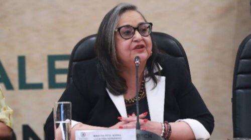 norma piña reforma poder judicial