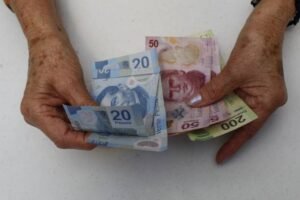 nuevo apoyo social bienestar pension