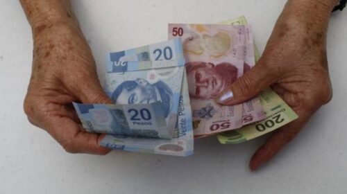nuevo apoyo social bienestar pension