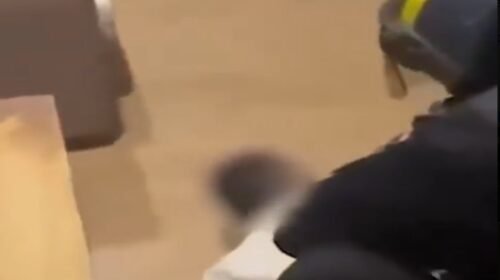 operativo españa carte de sinaloa laboratoria metanfetamina