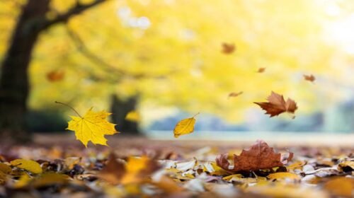 otoño mexico equinoccio frio estaciones del año