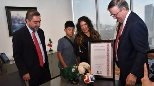 pato merlin registro propiedad intelectual mexico