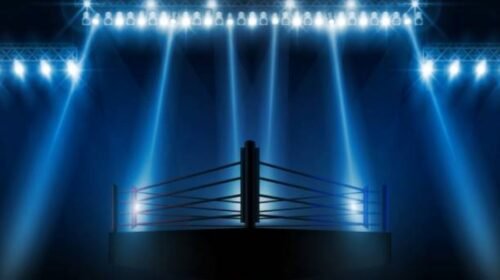 peleas box espectaculos velada del año