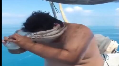 pescador yucatan pulpo video viral