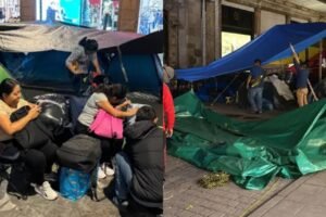 planyon cnte maestroz zocalo retirada bloqueos