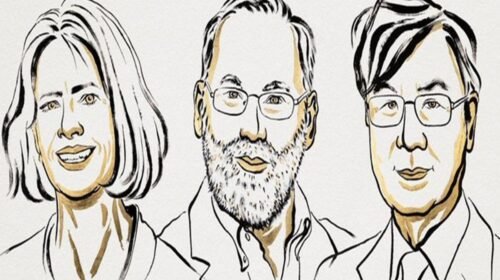 premio novel medicina investigaciones